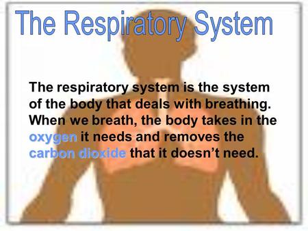 Oxygen carbon dioxide The respiratory system is the system of the body that deals with breathing. When we breath, the body takes in the oxygen it needs.