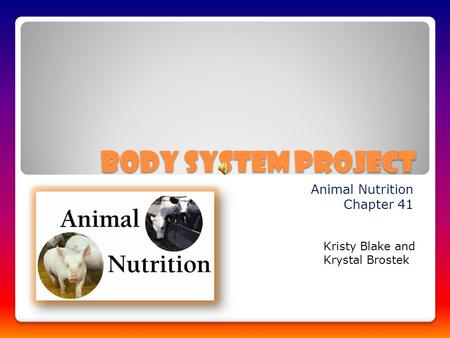 Body System Project Animal Nutrition Chapter 41 Kristy Blake and Krystal Brostek.