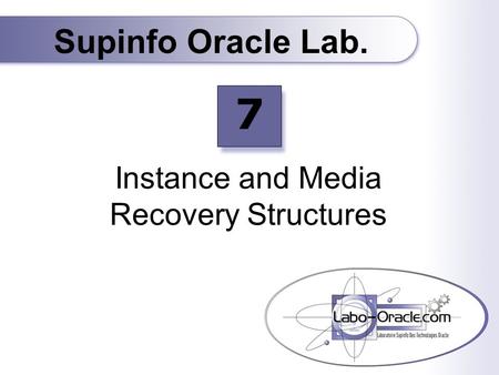 Instance and Media Recovery Structures Supinfo Oracle Lab. 7.