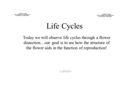 Life Cycles Today we will observe life cycles through a flower dissection…our goal is to see how the structure of the flower aids in the function of reproduction!
