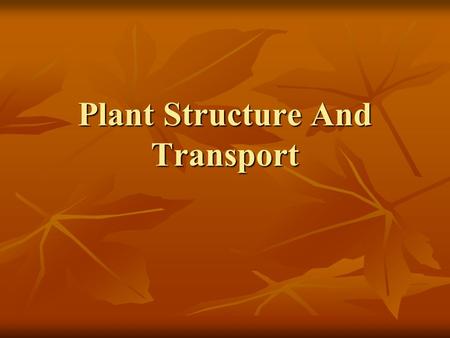 Plant Structure And Transport. Chapter 13: Plant Structure And Transport Main Parts Of Plant: Main Parts Of Plant: 1.Roots 1.Roots 2.Stem 2.Stem 3.Leaves.