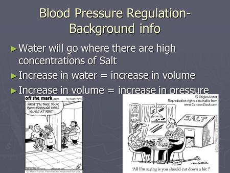 Blood Pressure Regulation- Background info ► Water will go where there are high concentrations of Salt ► Increase in water = increase in volume ► Increase.