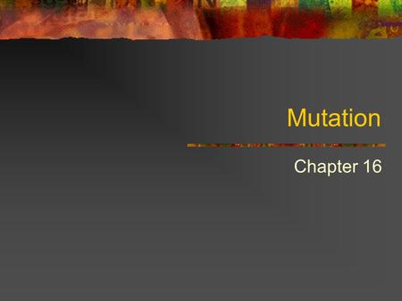 Mutation Chapter 16. Mutation A change in structure or amount of genetic material If phenotype is altered – affected organism is called a mutant Mutation.