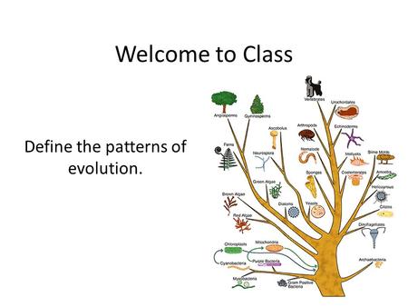 Welcome to Class Define the patterns of evolution.