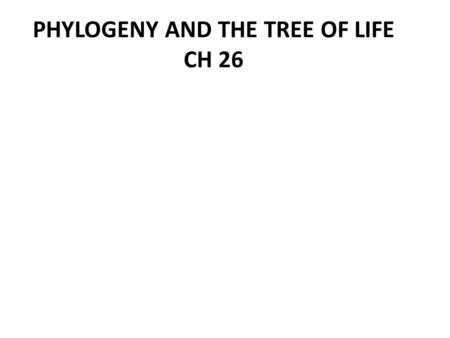 PHYLOGENY AND THE TREE OF LIFE CH 26. I. Phylogenies show evolutionary relationships A. Binomial nomenclature: – Genus + species name Homo sapiens.