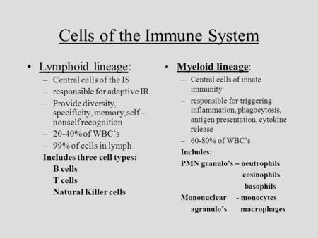 Cells of the Immune System Lymphoid lineage: –Central cells of the IS –responsible for adaptive IR –Provide diversity, specificity, memory,self – nonself.