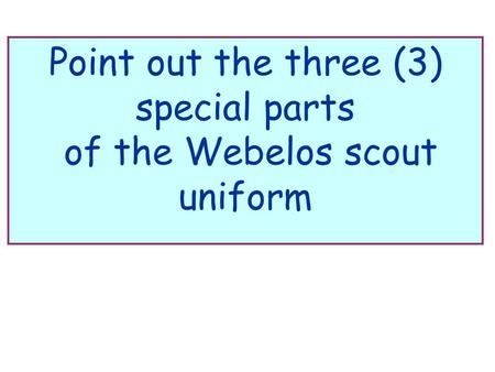 Point out the three (3) special parts of the Webelos scout uniform.