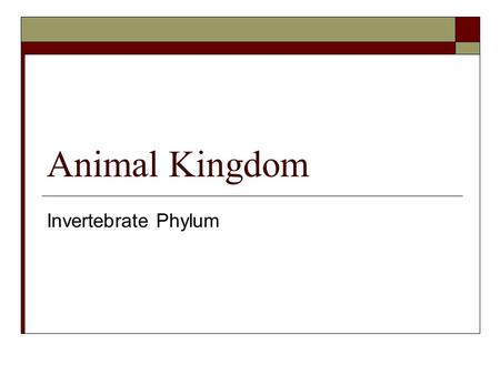 Animal Kingdom Invertebrate Phylum.