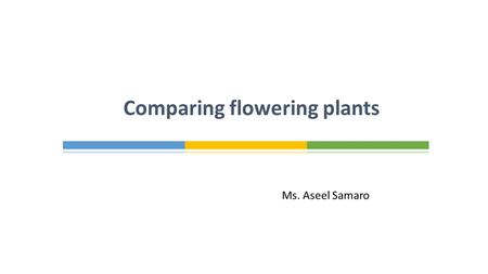 Ms. Aseel Samaro Comparing flowering plants.  Fern is the odd one cut. It is not flowering plant.  Flowering plants use: Wind Insects animals to transfer.