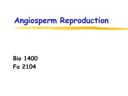 Angiosperm Reproduction Bio 1400 Fa 2104. Major Evolutionary Advances Flowers - 140 mya 5,000 mya 4,000 mya 3,000 mya 2,000 mya 1,000 mya Earth Forms.