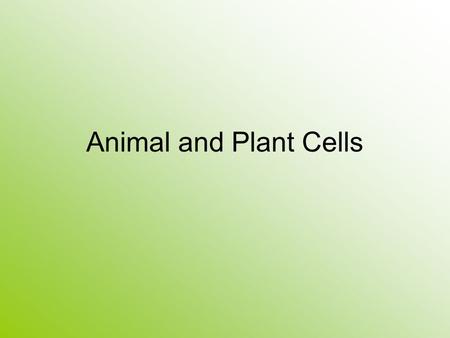 Animal and Plant Cells. Animal vs. Plant Cell AnimalPlant.
