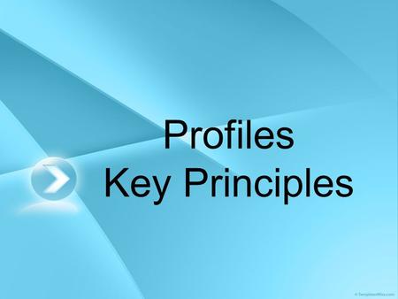 Profiles Key Principles. What is a profile? A profile is a snapshot of a child or young person’s best achievements at a given point in time. It is one.