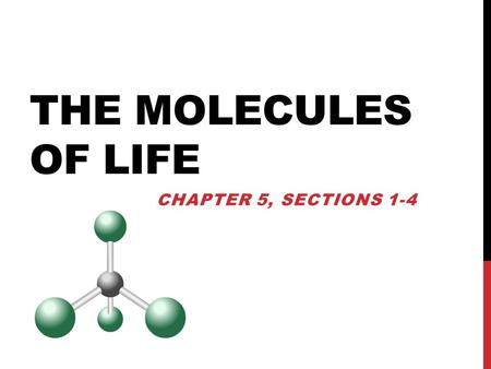 The Molecules of Life Chapter 5, SectionS 1-4.