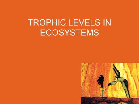 TROPHIC LEVELS IN ECOSYSTEMS. Capturing and Releasing Energy Everything that you do requires energy! Most of the energy you use came primarily from THE.