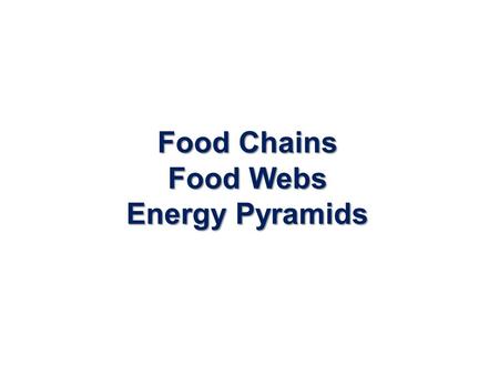 Food Chains Food Webs Energy Pyramids
