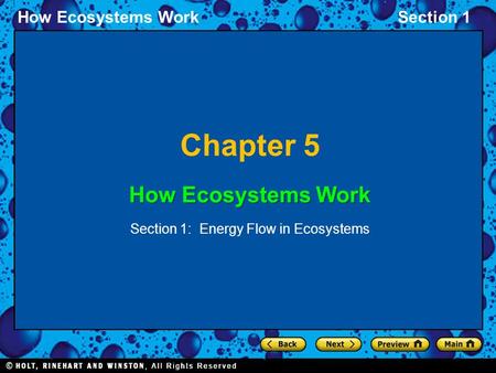 How Ecosystems WorkSection 1 Chapter 5 How Ecosystems Work Section 1: Energy Flow in Ecosystems.