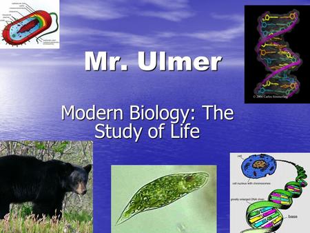 Mr. Ulmer Modern Biology: The Study of Life. The Class Web Site WEB WEB There is a 150 page class web site. There is a 150 page class web site. It is.