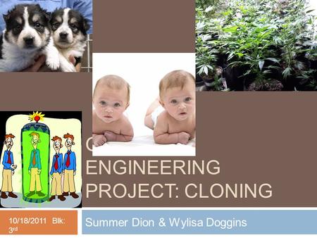 GENETIC ENGINEERING PROJECT: CLONING Summer Dion & Wylisa Doggins 10/18/2011 Blk: 3 rd.