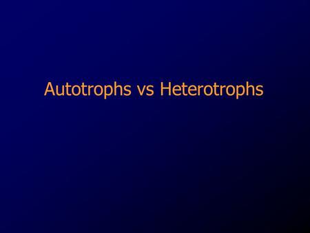 Autotrophs vs Heterotrophs. Autotrophs A groups of organisms that can use the energy in sunlight to convert water and carbon dioxide into Glucose (food)