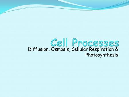 Diffusion, Osmosis, Cellular Respiration & Photosynthesis.