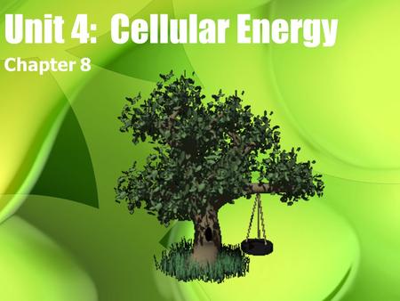 Unit 4: Cellular Energy Chapter 8.