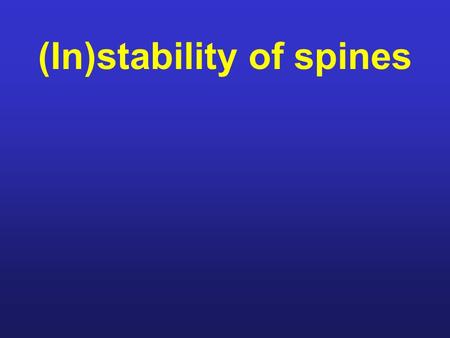 (In)stability of spines. Outline Introduction Spine size and synaptic efficacy synaptic plasticity is associated with changes in number and size of spines.