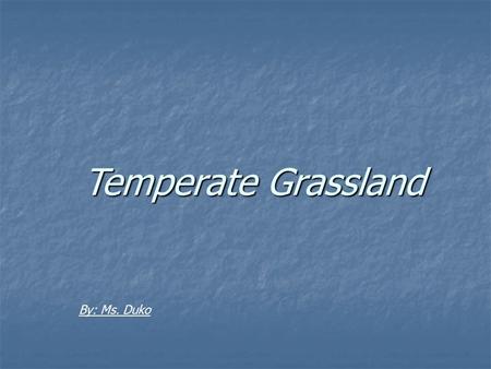 Temperate Grassland By: Ms. Duko. The Climate Temperate continental climates are found on continents in the Northern Hemisphere Temperate continental.