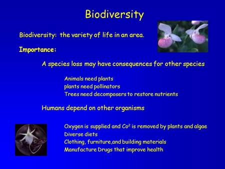 Biodiversity Biodiversity: the variety of life in an area. Importance: A species loss may have consequences for other species Animals need plants plants.