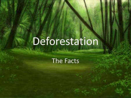 Deforestation The Facts.