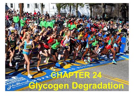 CHAPTER 24 Glycogen Degradation. Most glycogen is found in muscle and liver cells Glycogen particles in a liver cell section.