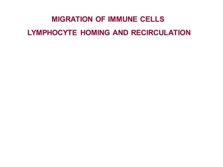 MIGRATION OF IMMUNE CELLS LYMPHOCYTE HOMING AND RECIRCULATION.