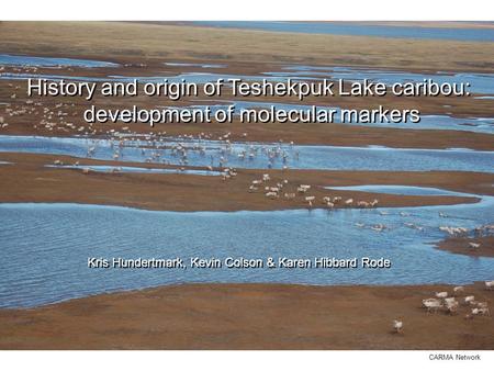 History and origin of Teshekpuk Lake caribou: