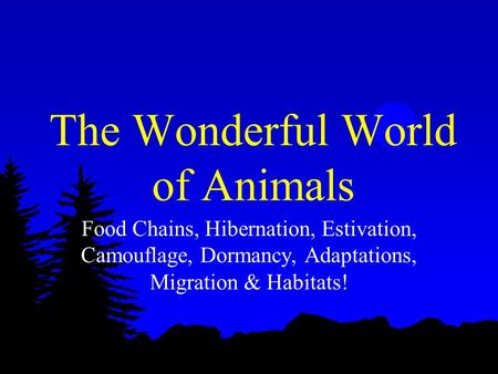 The Wonderful World of Animals