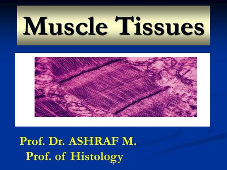 Muscle Tissues Prof. Dr. ASHRAF M. Prof. of Histology.