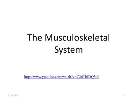 The Musculoskeletal System 12/24/20151