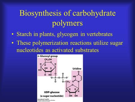 Biosynthesis of carbohydrate polymers Starch in plants, glycogen in vertebrates These polymerization reactions utilize sugar nucleotides as activated substrates.