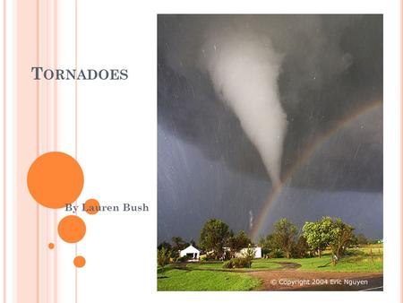 T ORNADOES By Lauren Bush. W HAT IS A T ORNADO ? A tornado is a violent, rapidly rotating air that has contact with the ground.