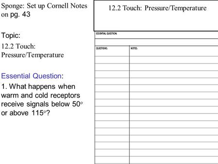 Sponge: Set up Cornell Notes on pg. 43 Topic: 12.2 Touch: Pressure/Temperature Essential Question: 1. What happens when warm and cold receptors receive.