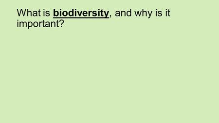 What is biodiversity, and why is it important?