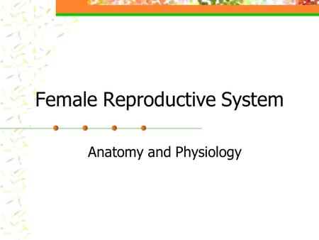 Female Reproductive System Anatomy and Physiology.