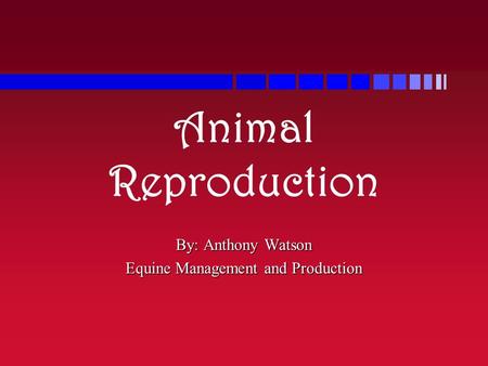 By: Anthony Watson Equine Management and Production