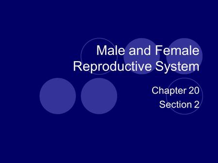 Male and Female Reproductive System Chapter 20 Section 2.