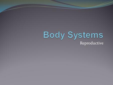 Reproductive. Male Anatomy Function-produces sperm (male gamete) Testes- Produce sperm Enclosed by scrotum Located outside of body-(2º C cooler) Muscles.