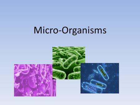 Micro-Organisms. What is a Micro-Organism? An living organism that is too small to be seen with the naked eye. Also known as “microbes”. They are found.