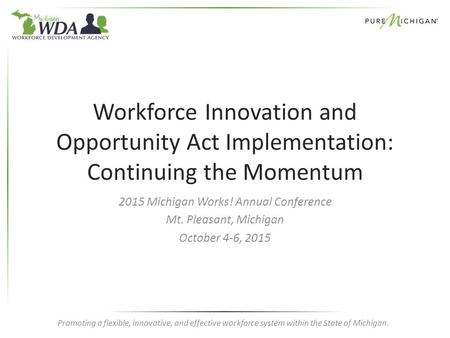 Promoting a flexible, innovative, and effective workforce system within the State of Michigan. Workforce Innovation and Opportunity Act Implementation: