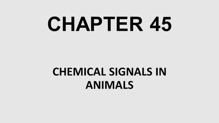 CHAPTER 45 CHEMICAL SIGNALS IN ANIMALS. Hormones are chemical signals.  The endocrine system consists of:  Endocrine cells, which are hormone-secreting.