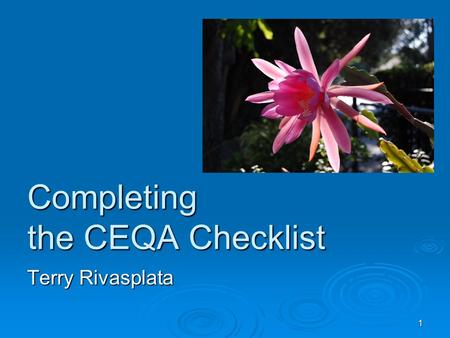 1 Completing the CEQA Checklist Terry Rivasplata.