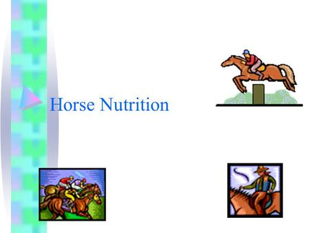 Horse Nutrition. Horses should have access to clean, fresh water at all times. A mature horse drinks on average 5-10 gallons a day. This will vary with.