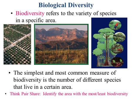Section 5.1 Summary – pages 111-120 Biodiversity refers to the variety of species in a specific area. The simplest and most common measure of biodiversity.