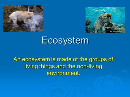 Ecosystem An ecosystem is made of the groups of living things and the non-living environment.